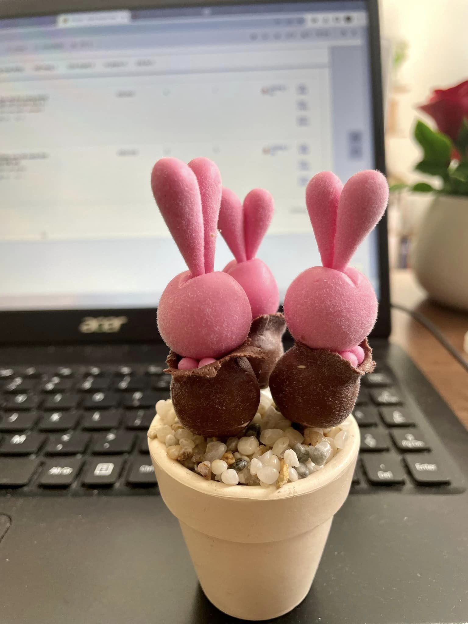 Chậu sen đá mini làm bằng đất sét đường kính 5cm