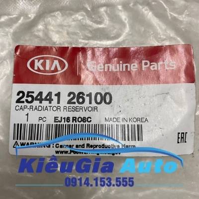Nắp bình nước phụ Hyundai Verna 2006-2010