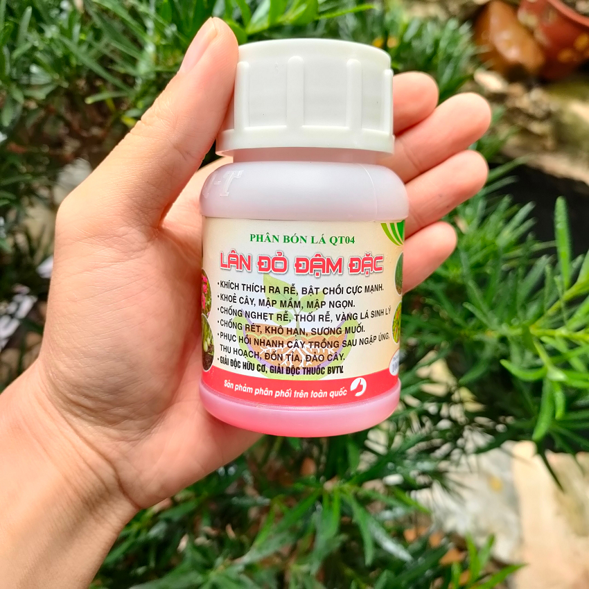 Phân bón đậm đặc, cao cấp thế hệ mới siêu lân đỏ QT04 chống rét, ra rễ mạnh, siêu bật chồi gói 20ml sét 2 gói chính hãng
