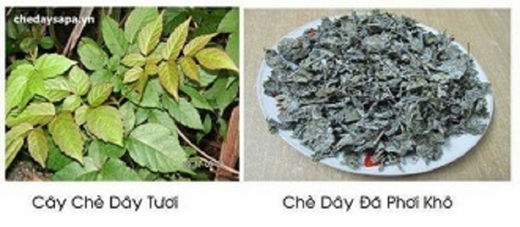 Chè Dây 1kg