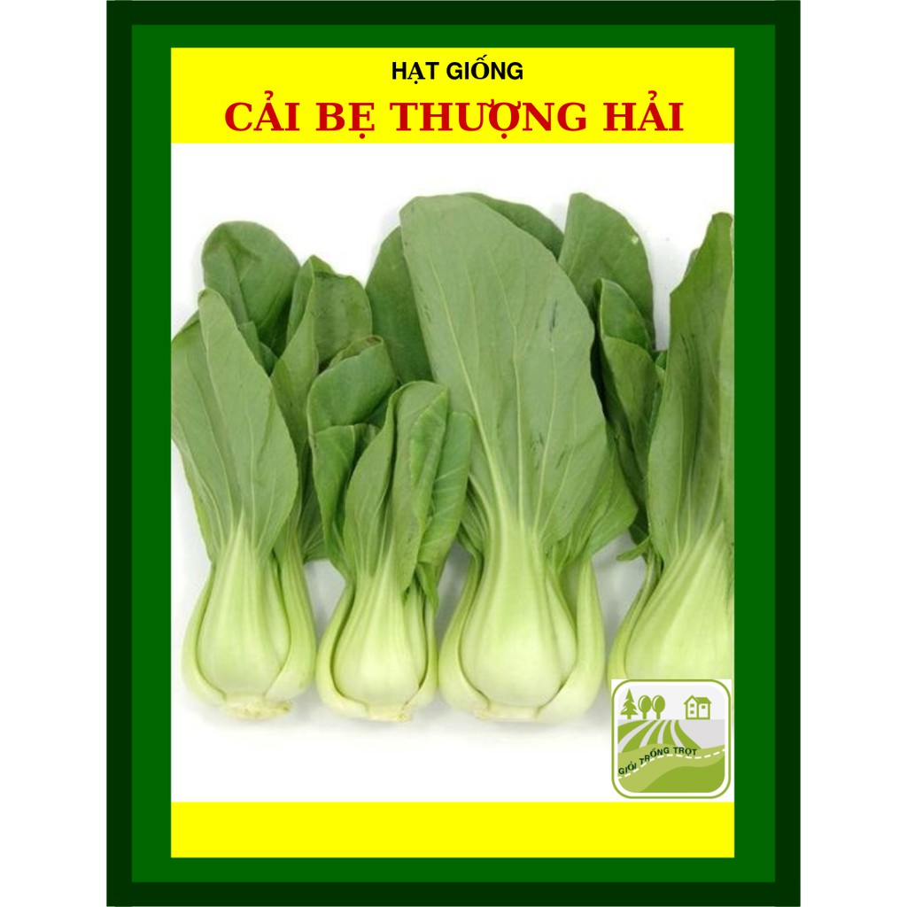 20 Gram - Hạt Giống Cải Thìa Thượng Hải
