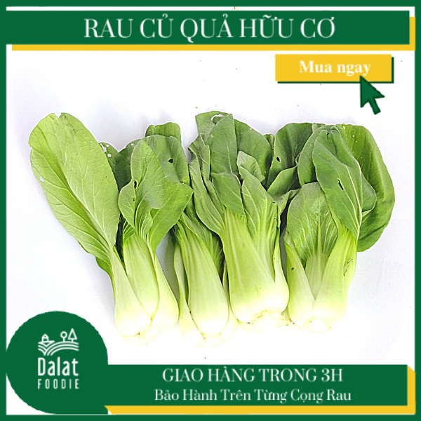 Cải Thìa 250G - [Giao hàng ngay tại TPHCM]