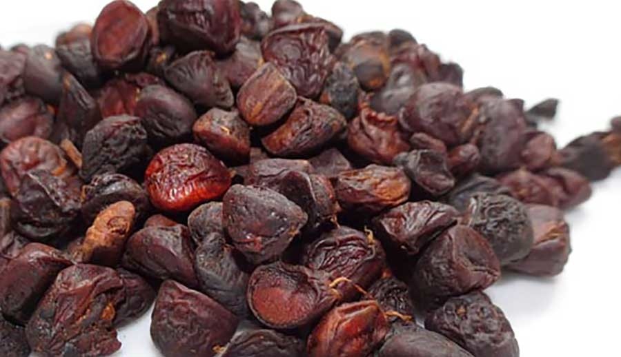 Hạt dổi nếp cây cổ thụ cực thơm ngon (Gói 10g)
