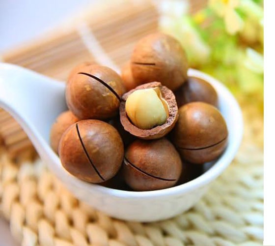 Mourad's Macadamia 500g