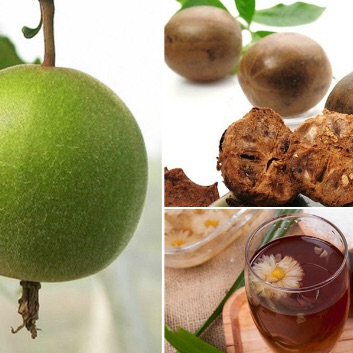 Hạt giống La Hán Quả
