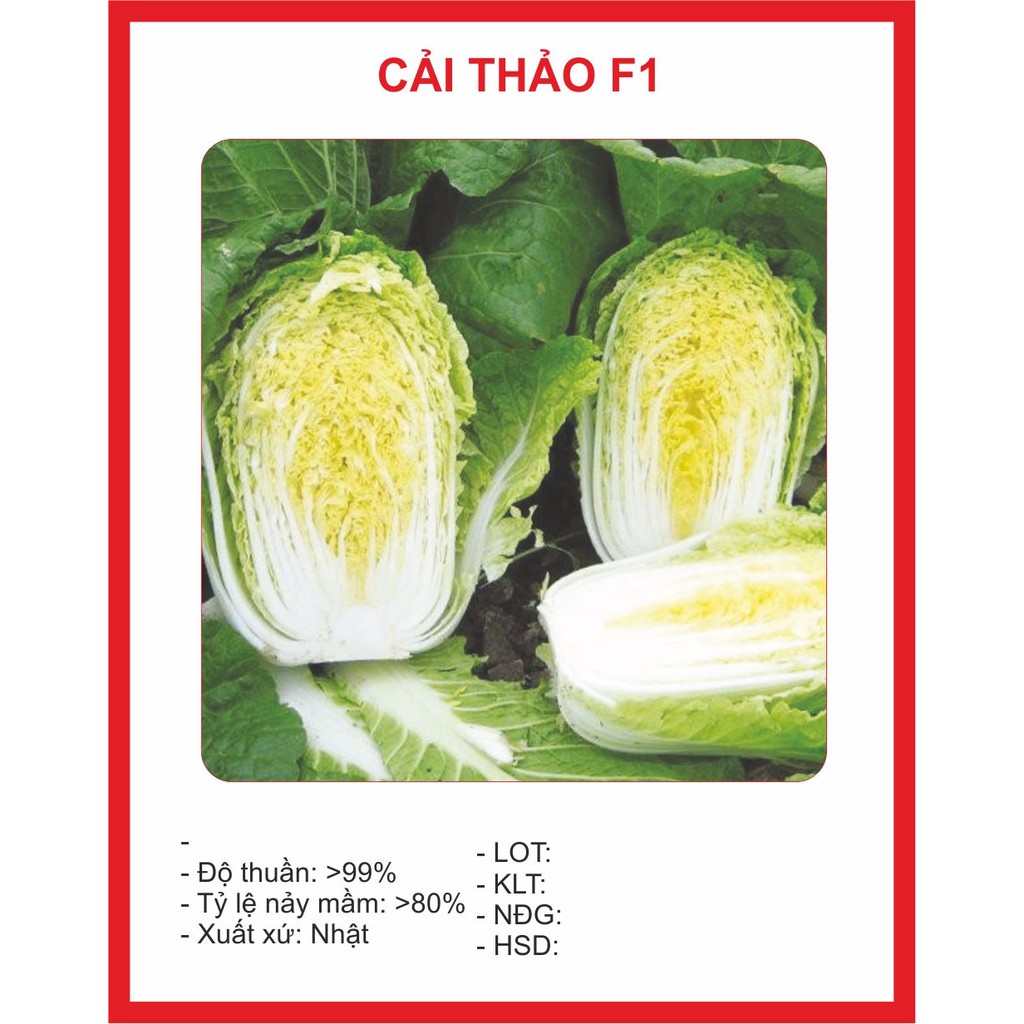 Hạt giống Cải Thảo 0,5gram~100 hạt