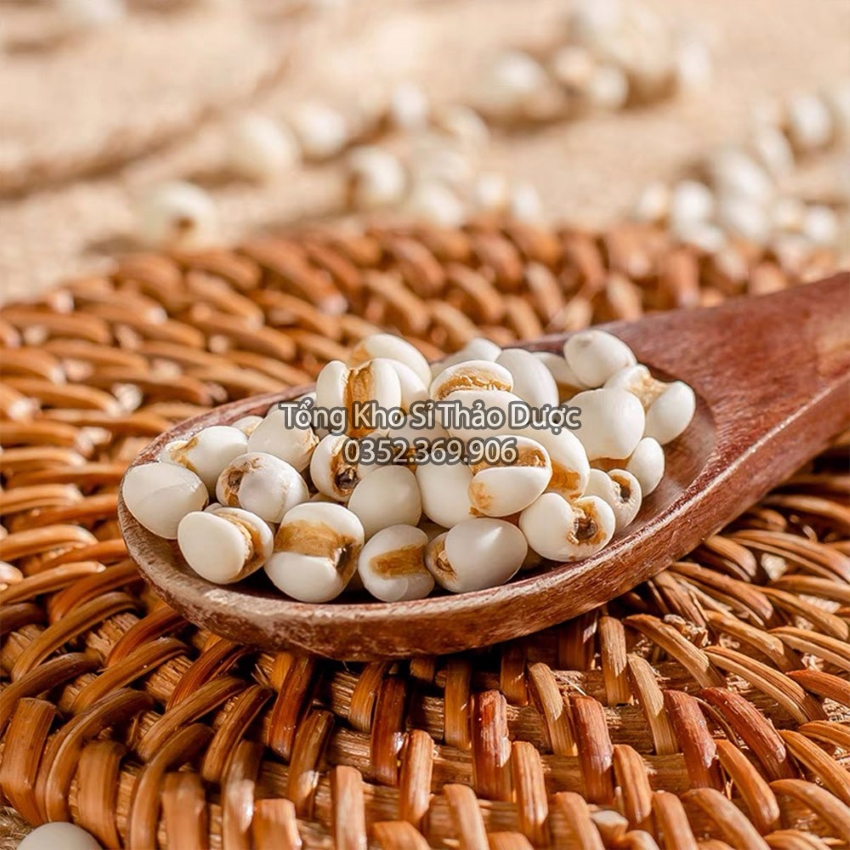 Y Dĩ Nếp 100g (Hàng Xuất Khẩu)