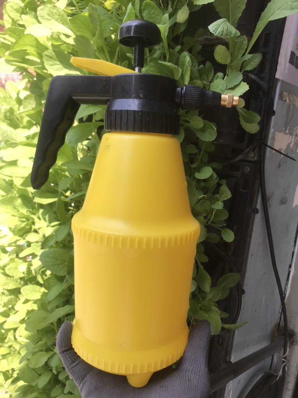 Bình xịt DUDACO 2 Lít