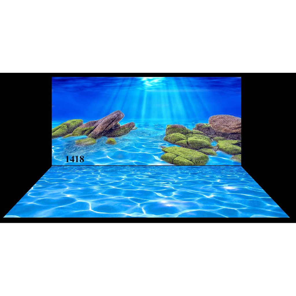 decal dán bể cá 3d 1418