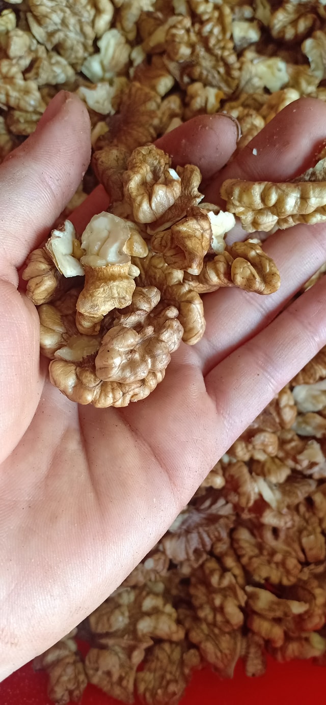 Nhân óc chó nếp trắng 1kg