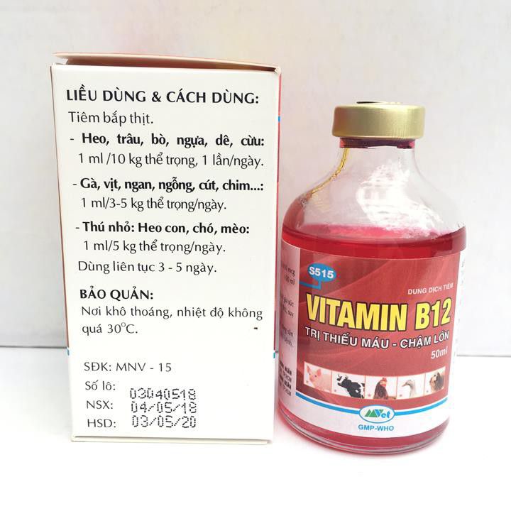 Vitamin B12 Thú Y - Lọ 100ml