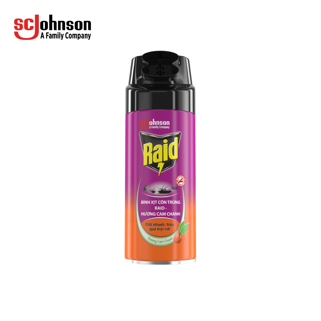 RAID Bình Xịt Côn Trùng 300ml - DN