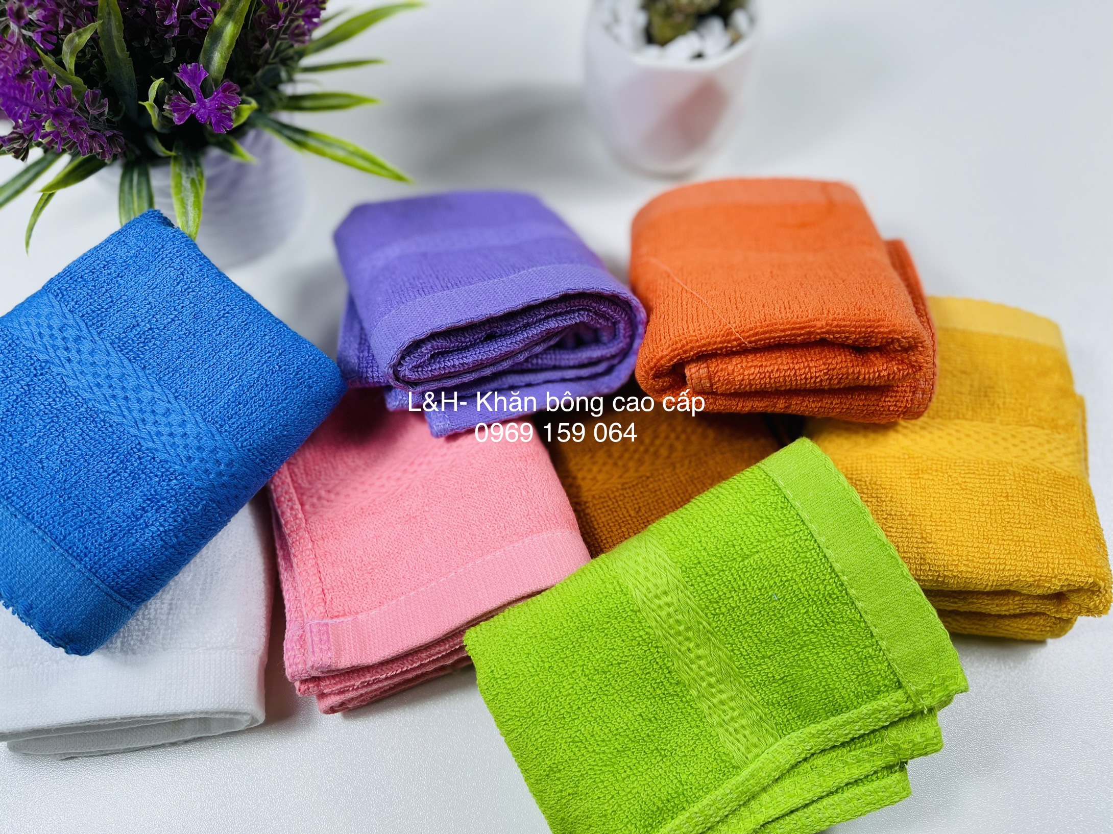 Khăn mặt màu cotton Tân Thịnh, Kt 30x50cm