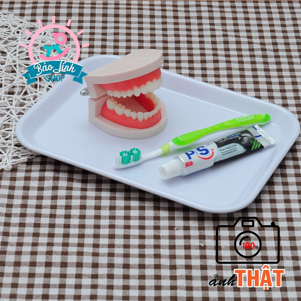 Đồ chơi cho bé Trai - bé gái - Mô hình hàm răng tập chải răng cho bé ẢNH THẬT| Giáo cụ thực hành cuộc sống