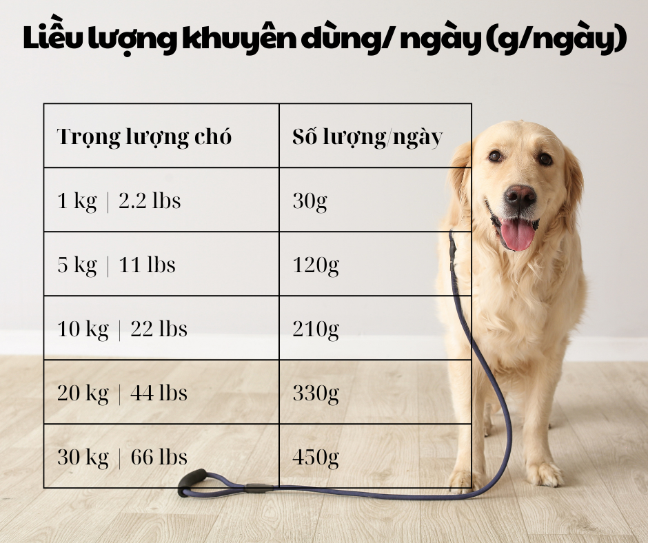Nutrience Infusion Healthy Puppy