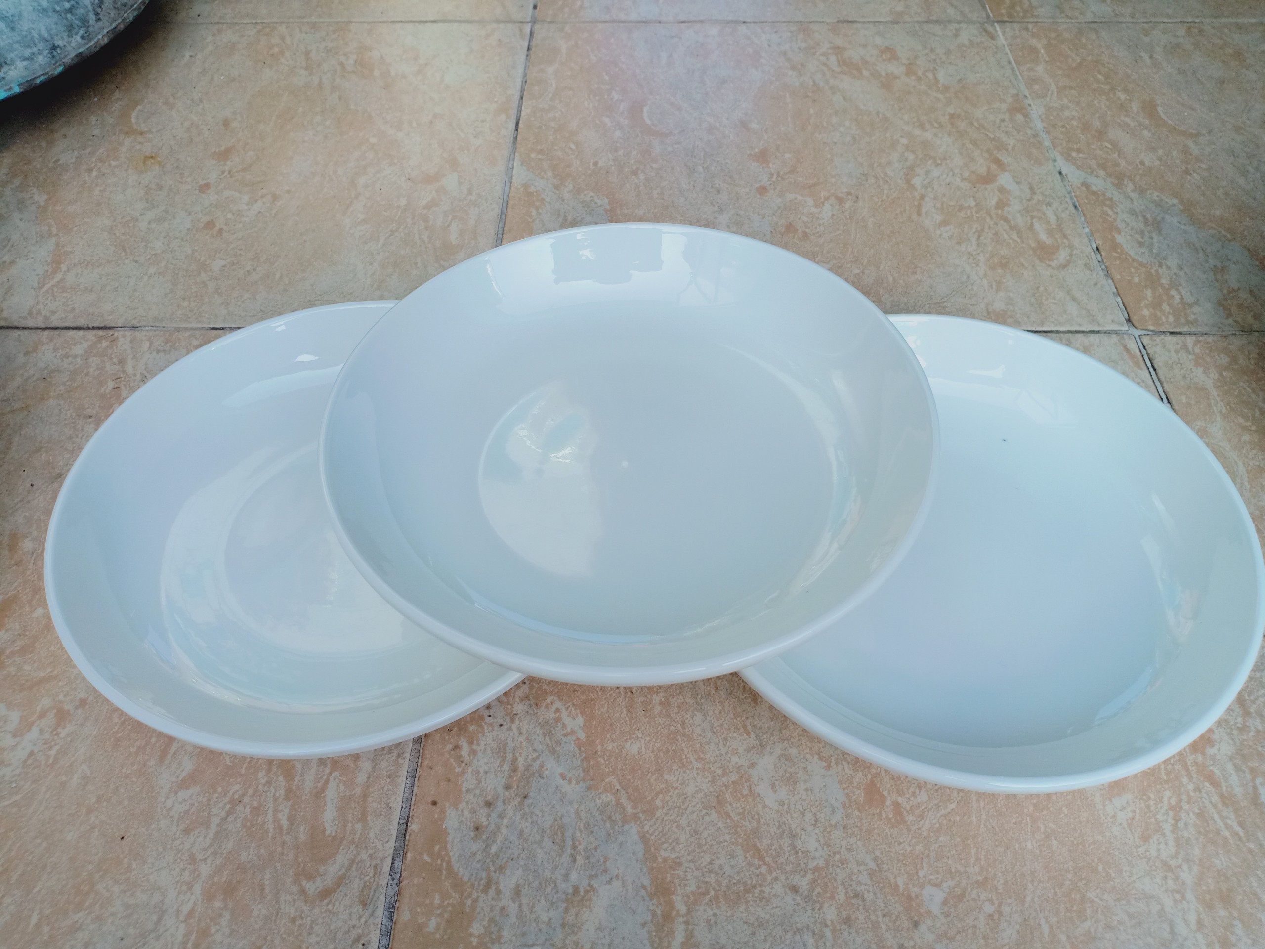 Combo 6 đĩa sứ cao cấp trắng tinh, dày dặn 20.5cm