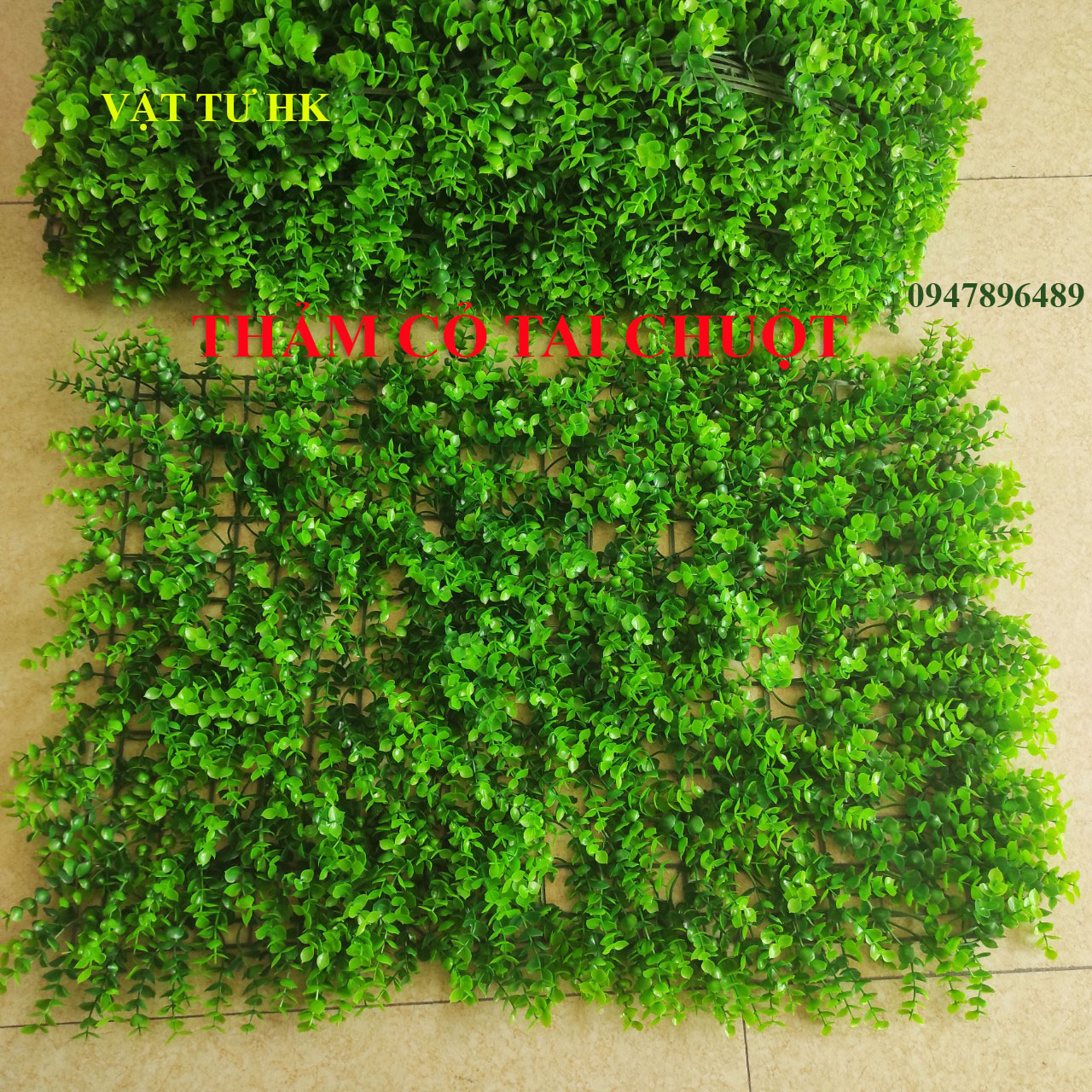 (Siêu rẻ) Thảm cỏ nhân tạo treo trang trí tường - cải xoong - Cỏ Tai chuột - có hoa (chọn đúng loại khi đặt hàng)