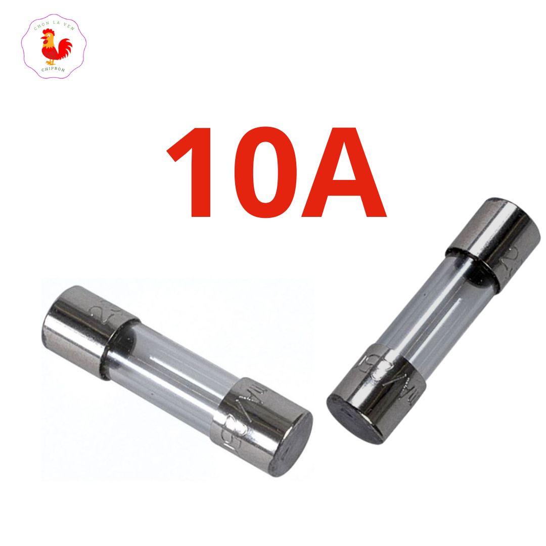 6x30 250V fuse