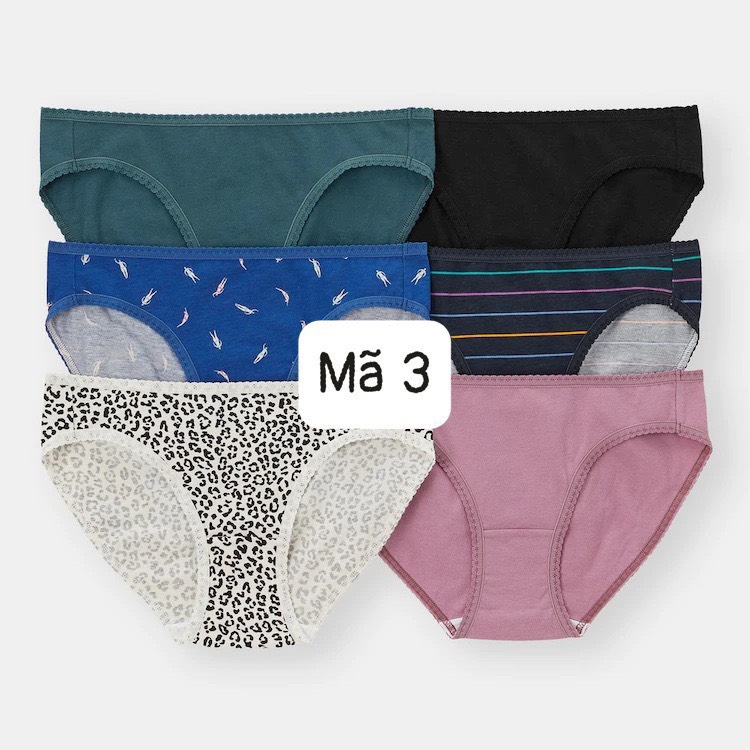 set quần Chip Gu 6 Nhật bản(mẫu mới)