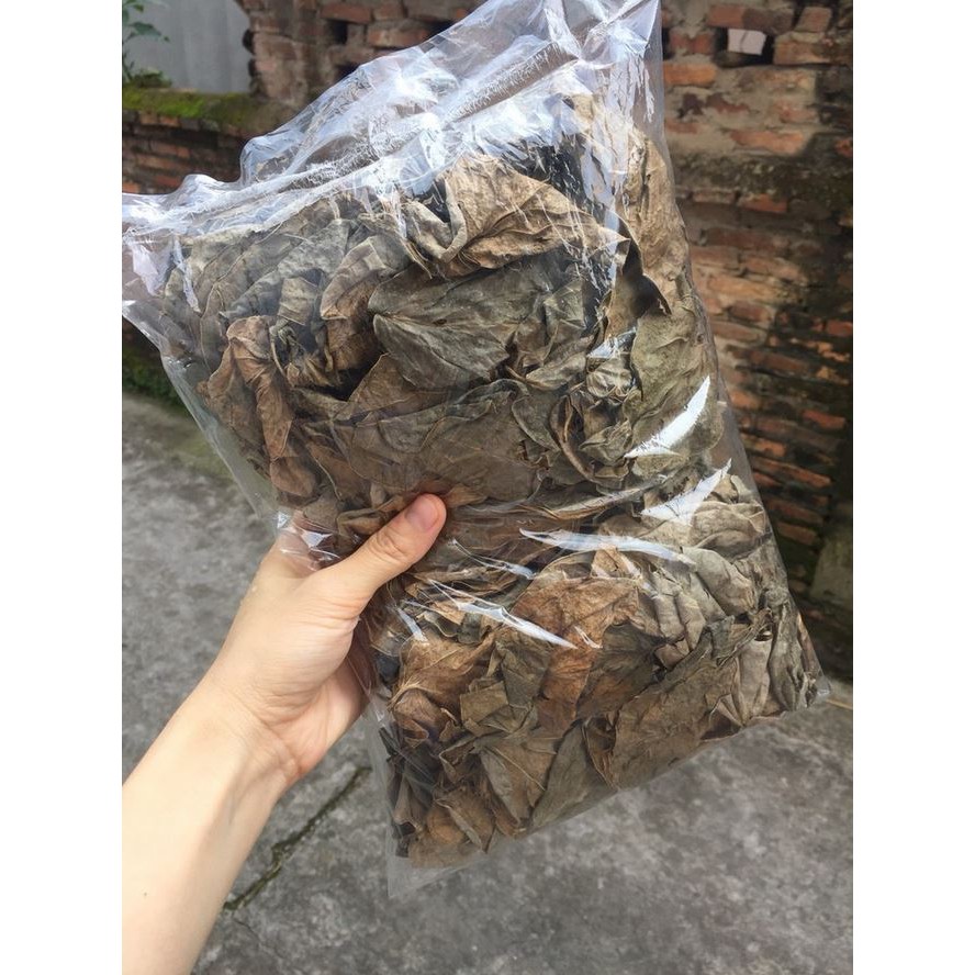 Lá Trầu Không khô (500g)