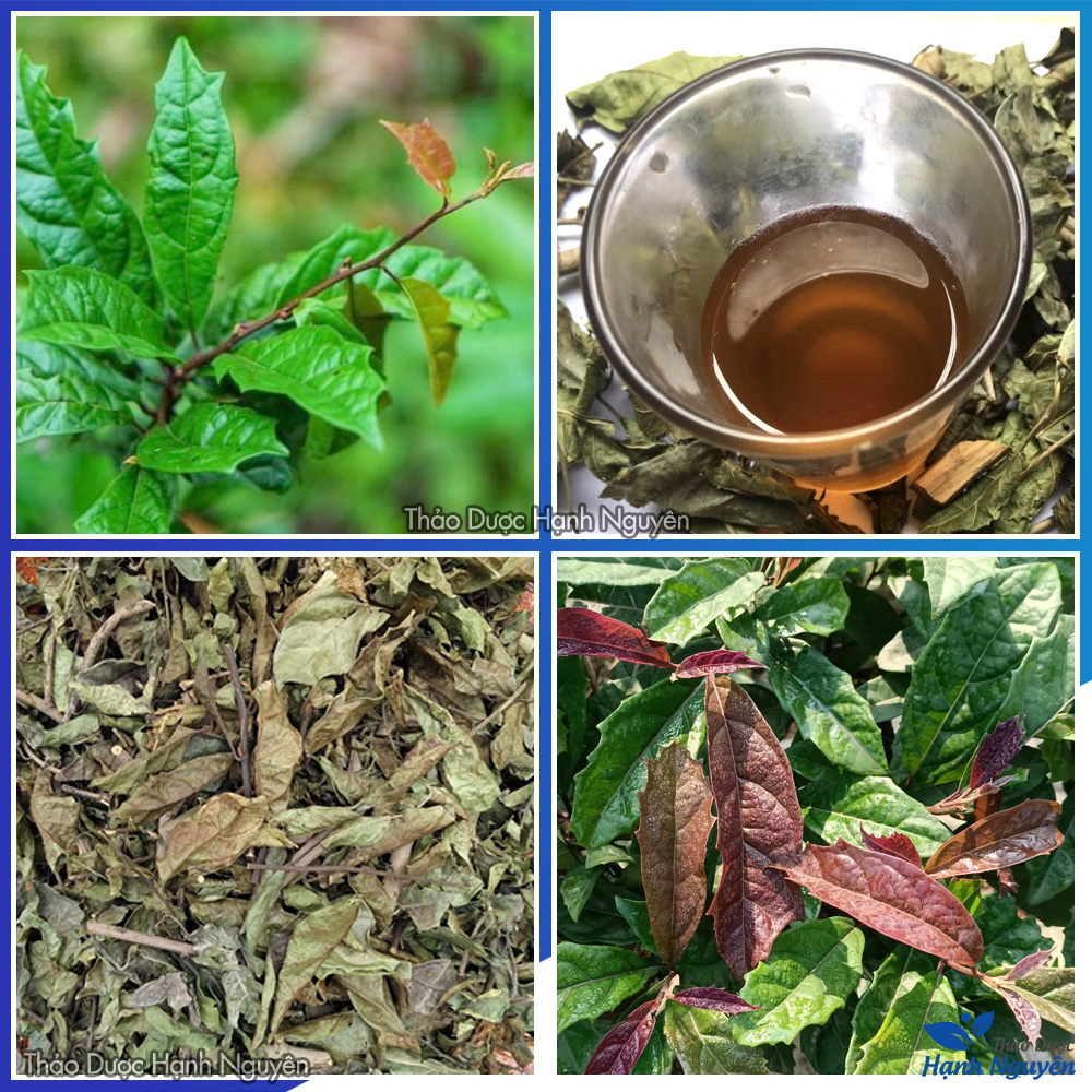 Leaves Black dry peace 100g