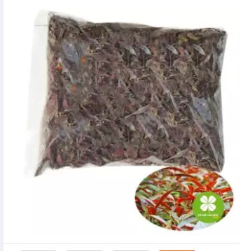 Đơn lá đỏ (1kg khô) - DTX150