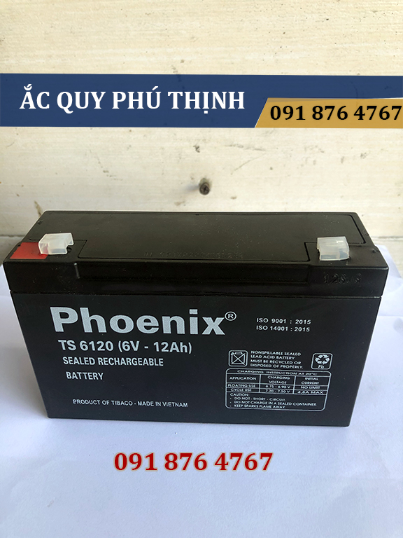 Ắc quy lưu điện Phoenix 6V - 12Ah TS6120