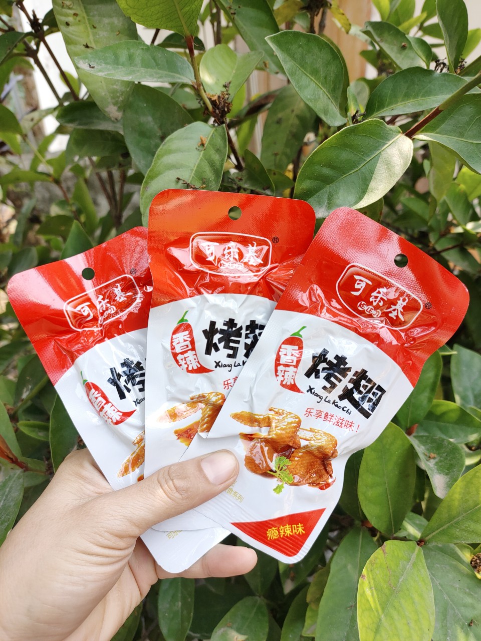 BỊCH 10 CHIẾC CHÂN GÀ CÁNH GÀ CAY TỨ XUYÊN