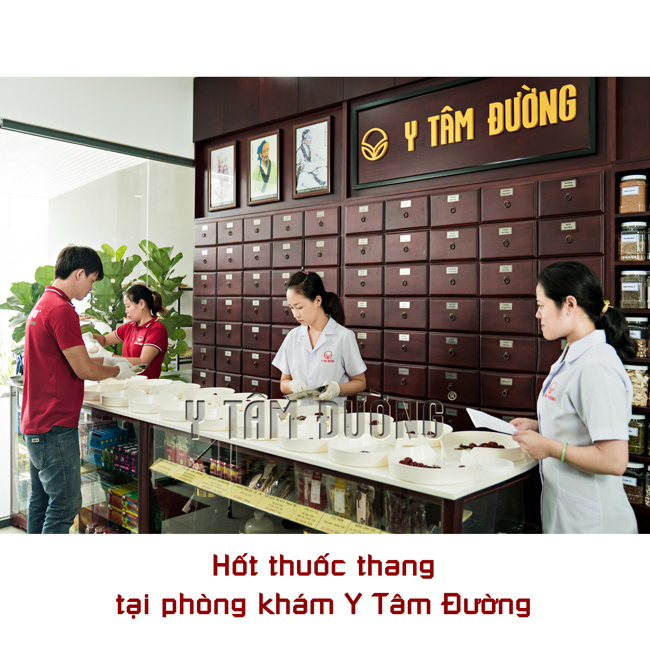 Cá ngựa chúa, Hải Mã khô loại thượng phẩm size từ 16cm đến 22cm
