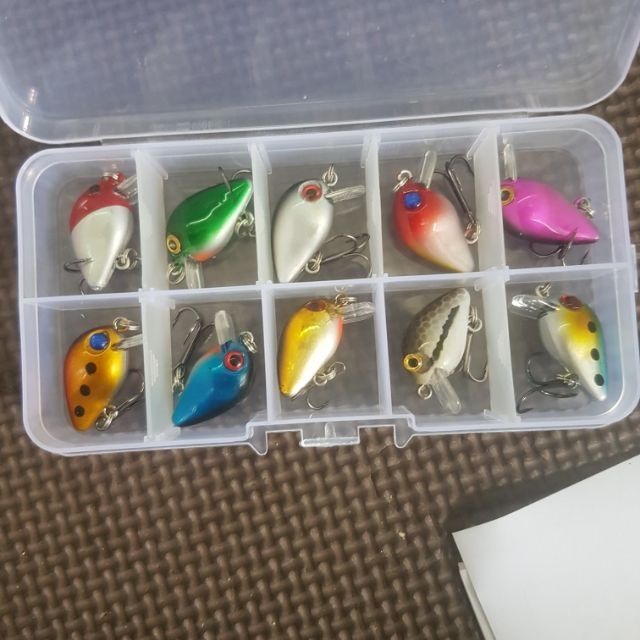 Mồi giả câu lure, hộp 10 mồi ruồi