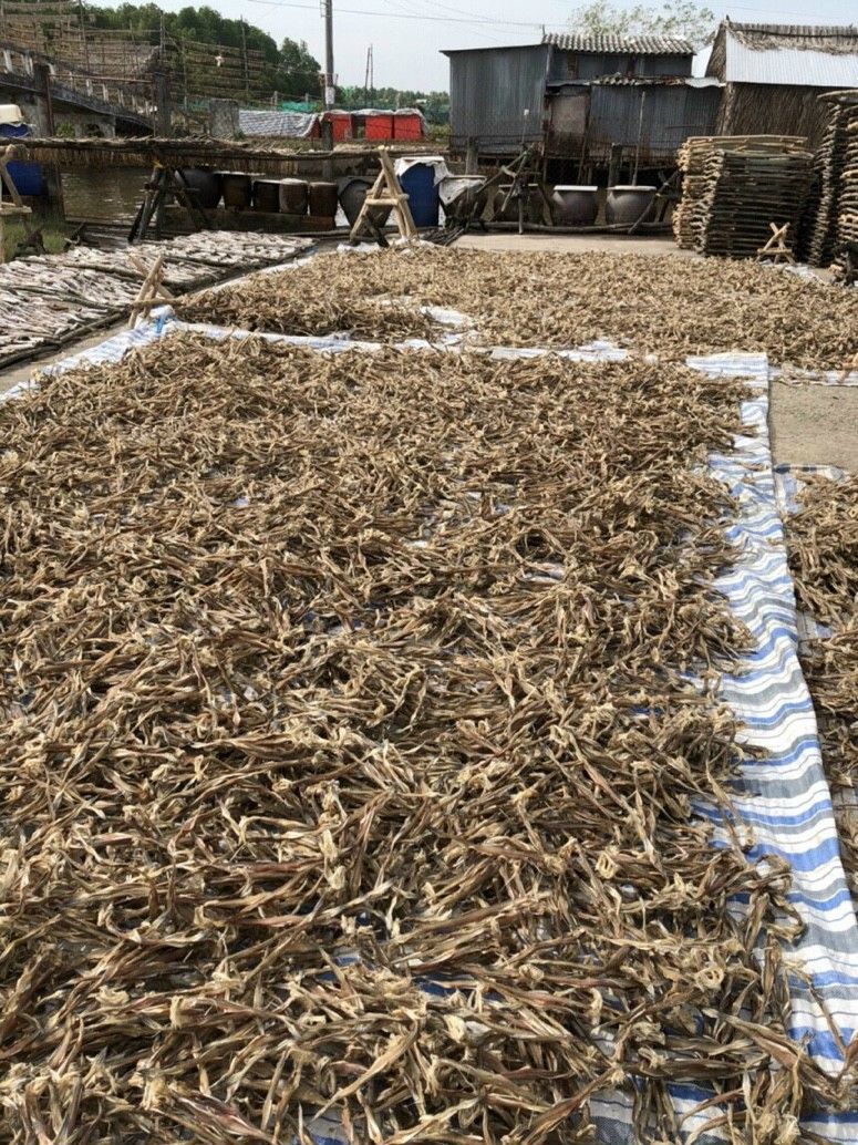 500gr Khô cá khoai Cà Mau - Mồi bén nhâm nhi