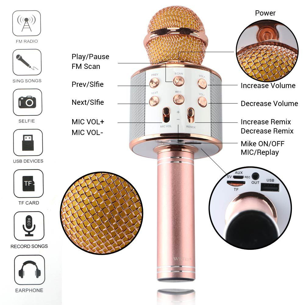Micro Hát Karaoke Bluetooth Kèm Loa 858