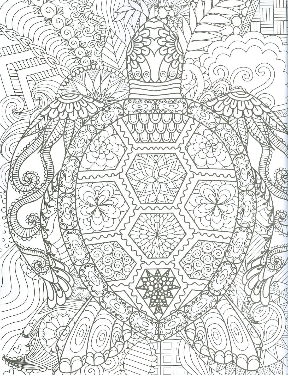 Ocean - Adults Colouring Book (Sách Tô Màu: Đại Dương)