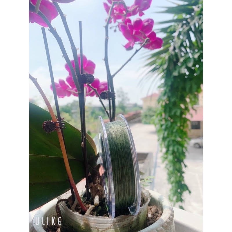 Dây Dù Chìm 131 - 300m Sufix Cao Cấp - DD300M001