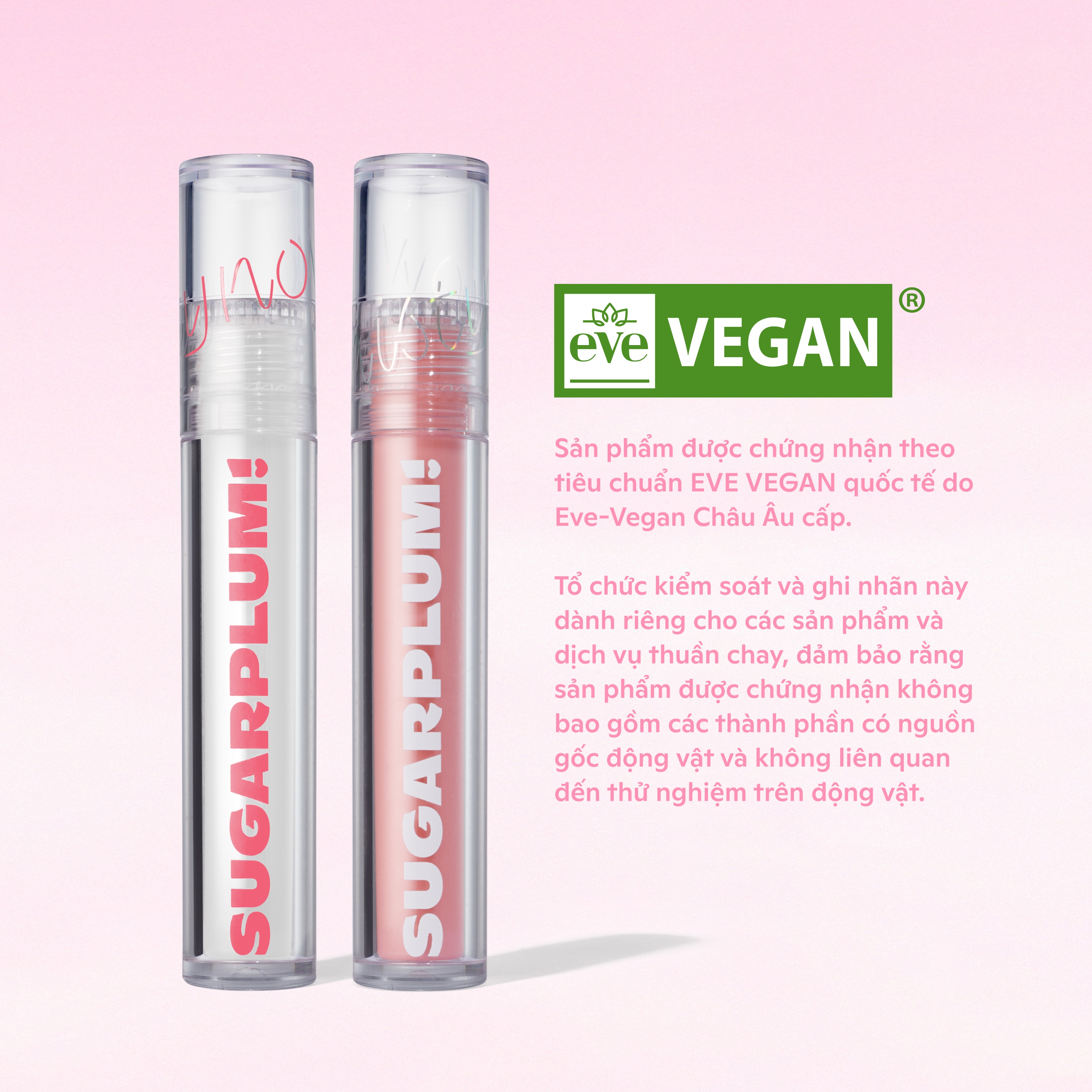 Combo 2 Son Tint Nước Mịn Lì Thuần Chay SUGARPLUM MistyNow Blurring Tint (2 x 3.8g)