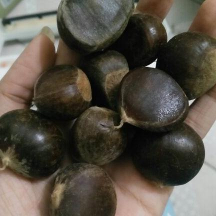 1kg hạt dẻ