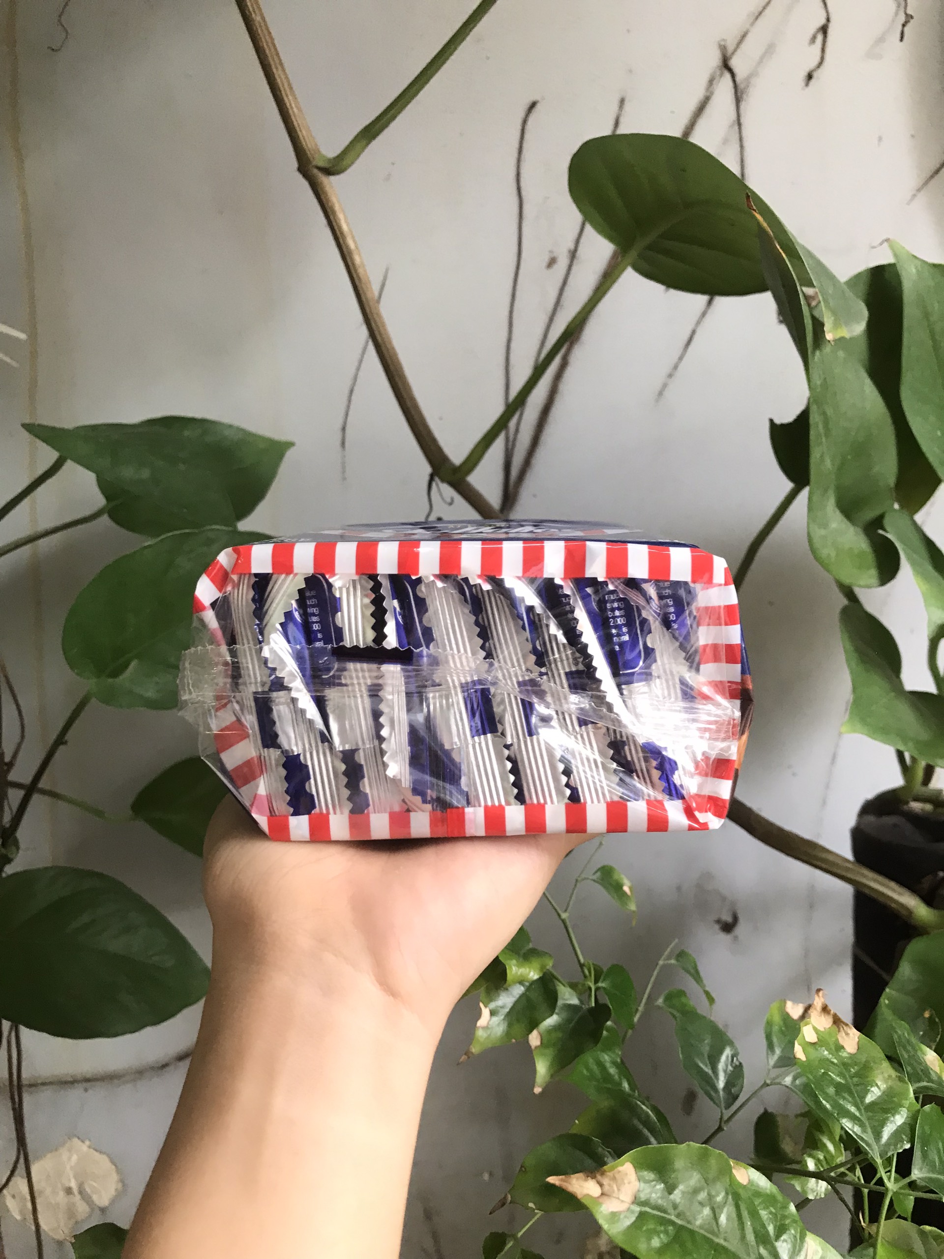 Bánh Quy Ăn Kiêng Sky Flakes Crackers (Gói 250g)