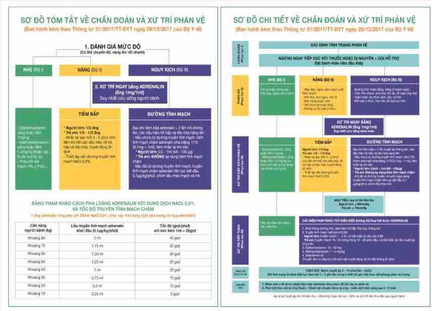 Tranh Phác đồ sơ cứu cấp cứu