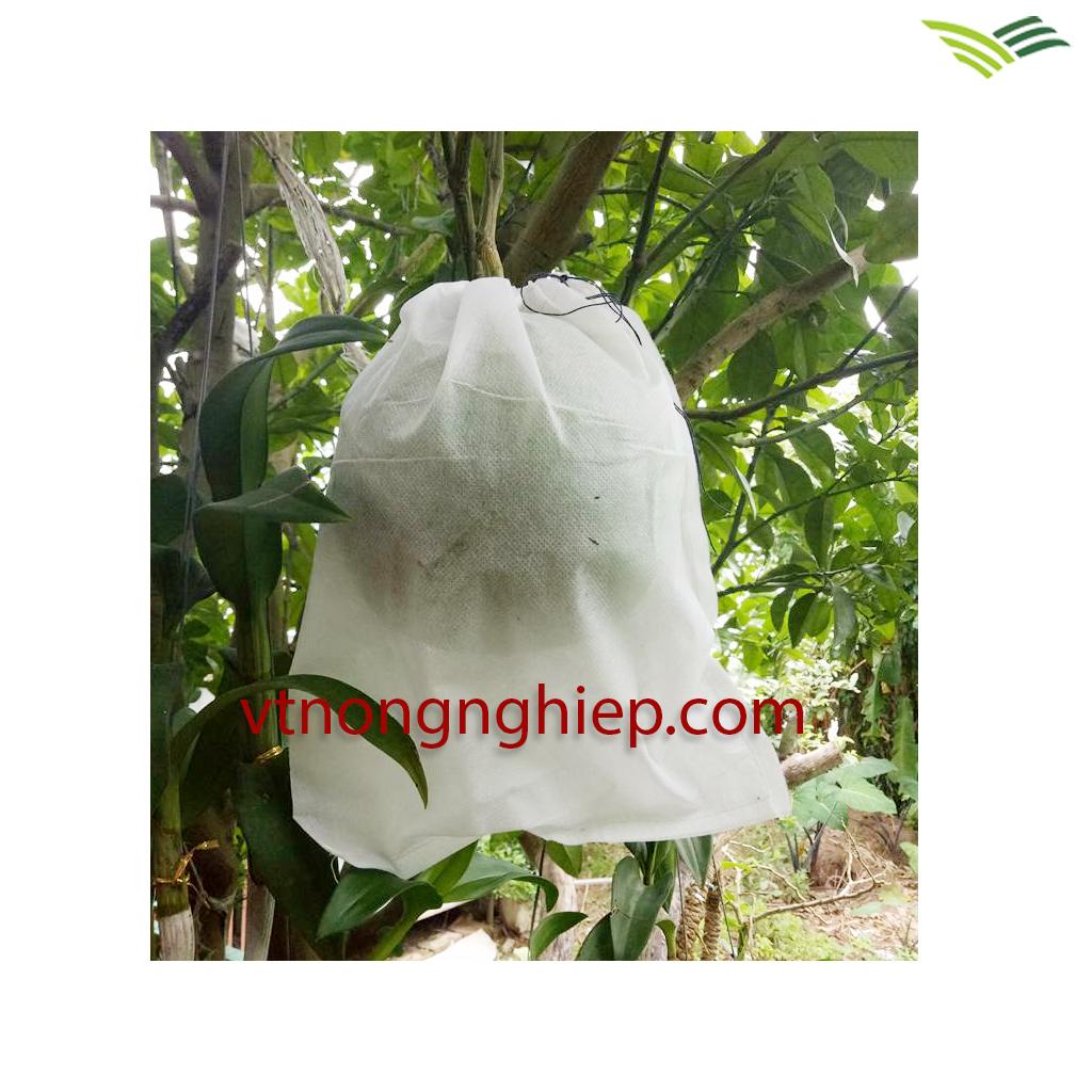 100 túi bọc trái plant KT 30x35cm