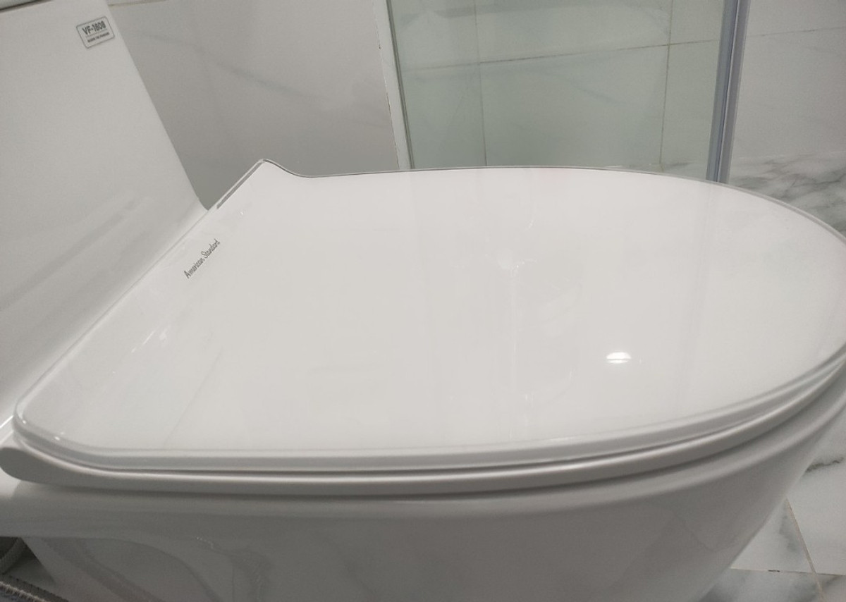 Nắp bồn cầu American WP-C119