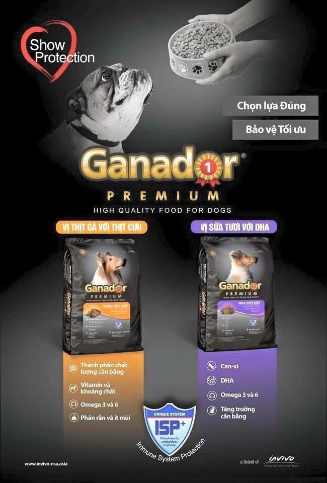 Thức ăn hạt cho chó Ganador Puppy 20kg