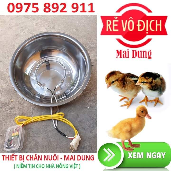 đèn úm cho gà , vịt  mới nở - siêu ấp
