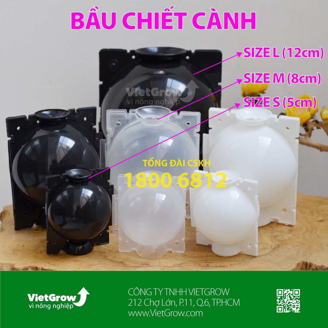 BẦU CHIẾT CÀNH
