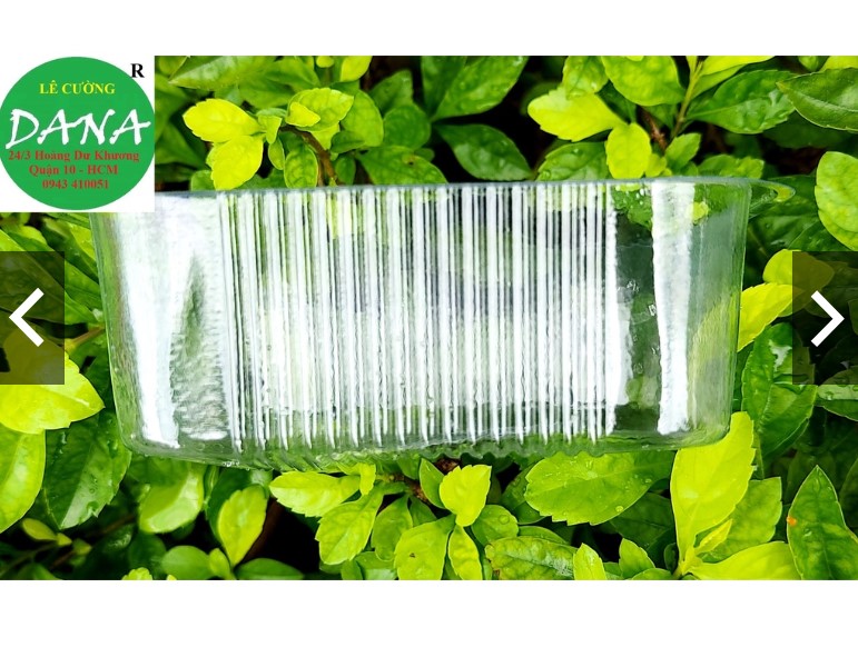 Khay Trung Thu số 7 đựng bánh 75g ( 50 cái )