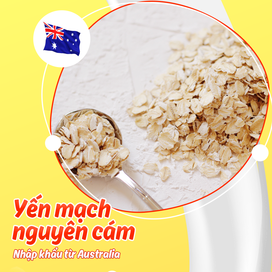 Yến Mạch Ăn Liền Trái Cây OATTA Túi 800g