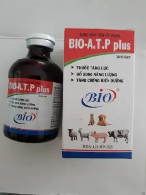 Thuoc tiêm bổ cơ hồi phục cơ khớp cho chó mèo - Bio ATP Plus 50ml