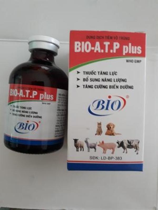 Thuốc tiêm bổ cơ hồi phục cơ khớp cho chó mèo - Bio ATP Plus 50ml