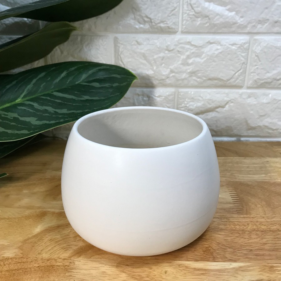Chậu sứ hạt dẻ nhỏ