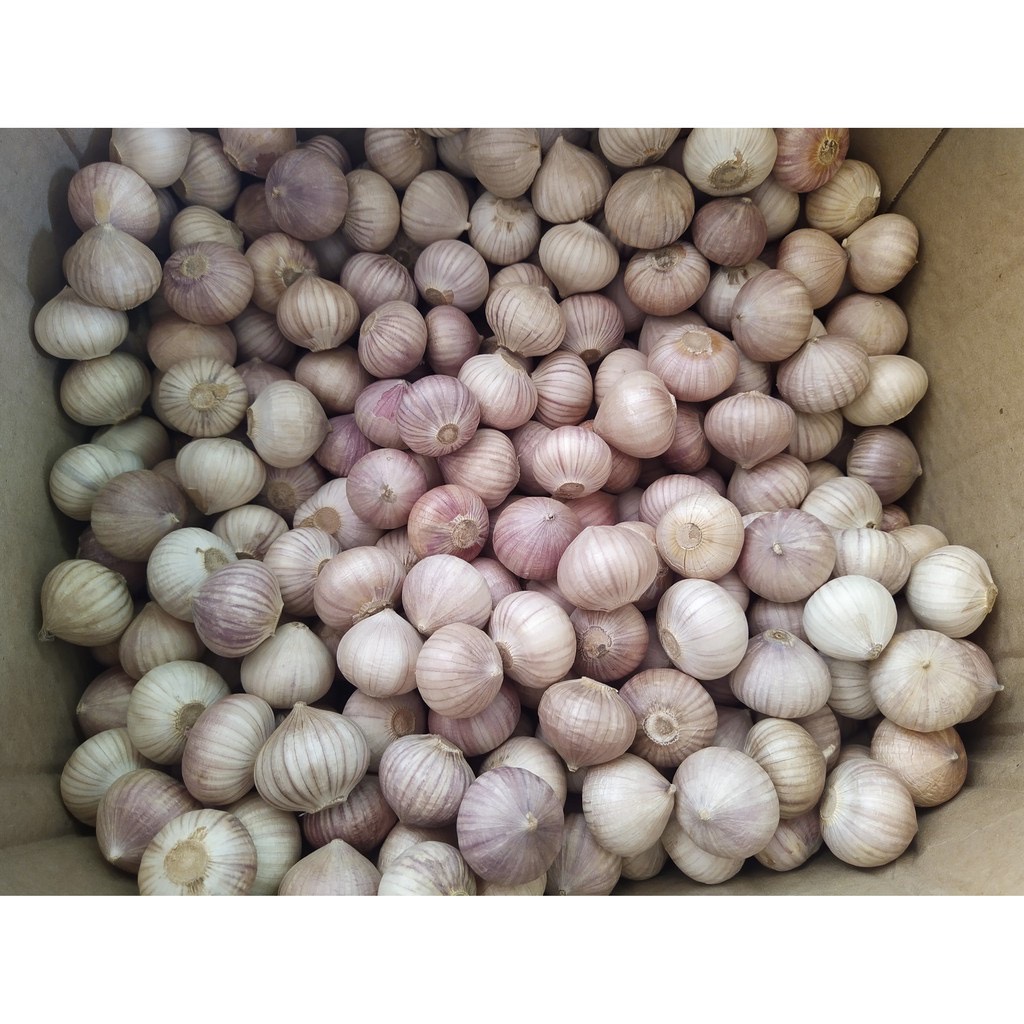 Tỏi cô đơn làm tỏi đen _ 0,5kg