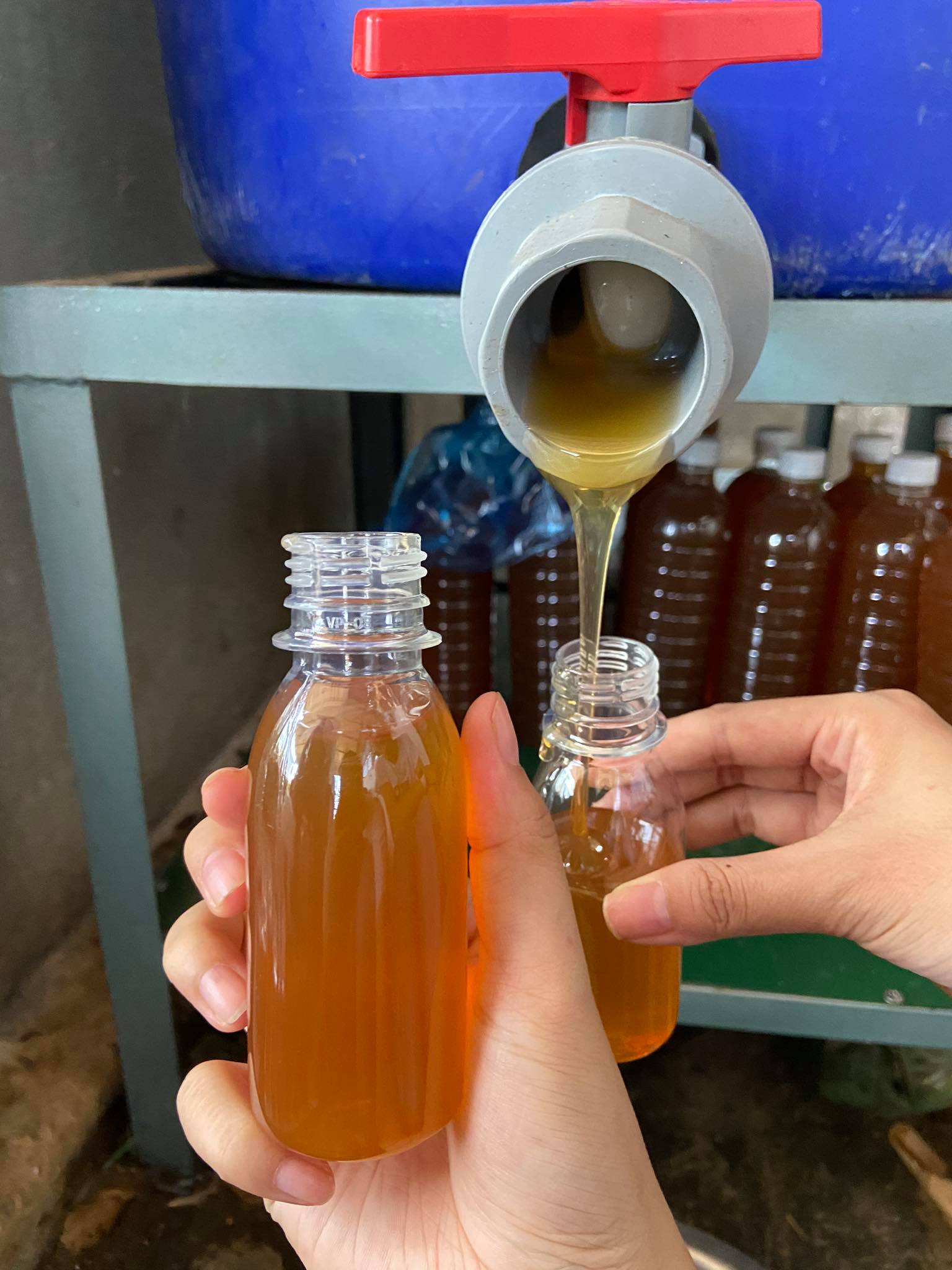 2 lít mật ong hoa cà phê nguyên chất daklak